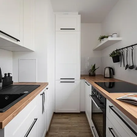 Scandia Apartment *